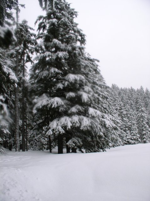 Ghost Ridge-Twin Lakes 062 
